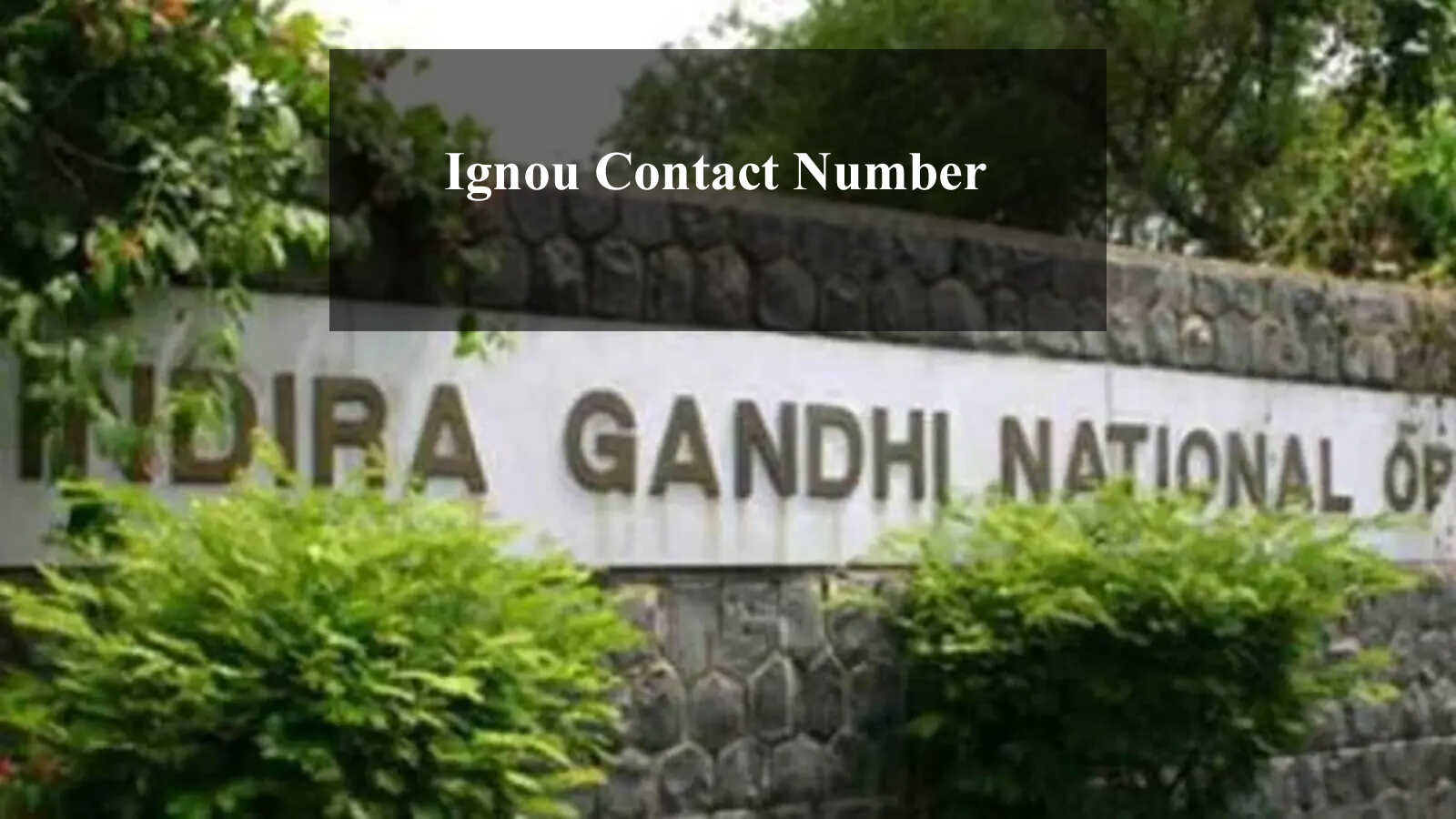 Ignou Contact Number