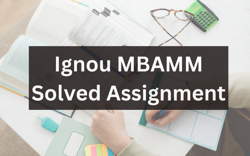 Ignou MBAMM Solved Assignment